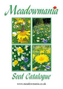 meadowmania_seed-1502