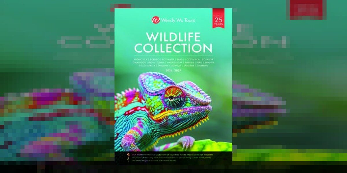 wildlife safari holidays - Wendy Wu - Wildlife Collection